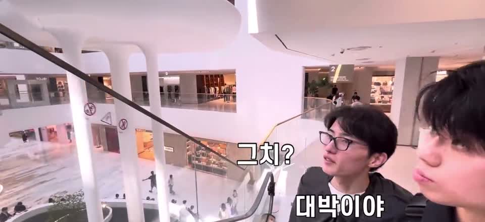 상층 이동 중 만난 나무와 휴식 공간