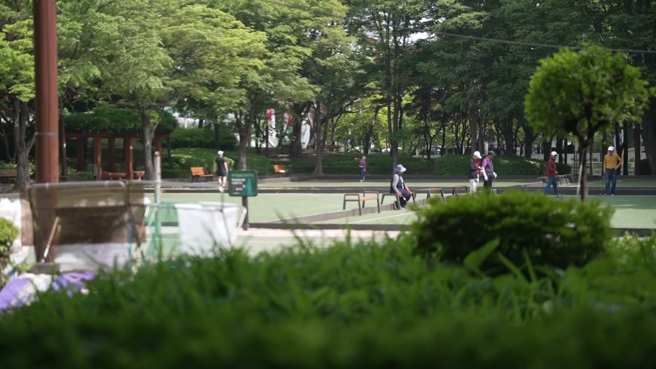 목마공원의 나무와 게이트볼장