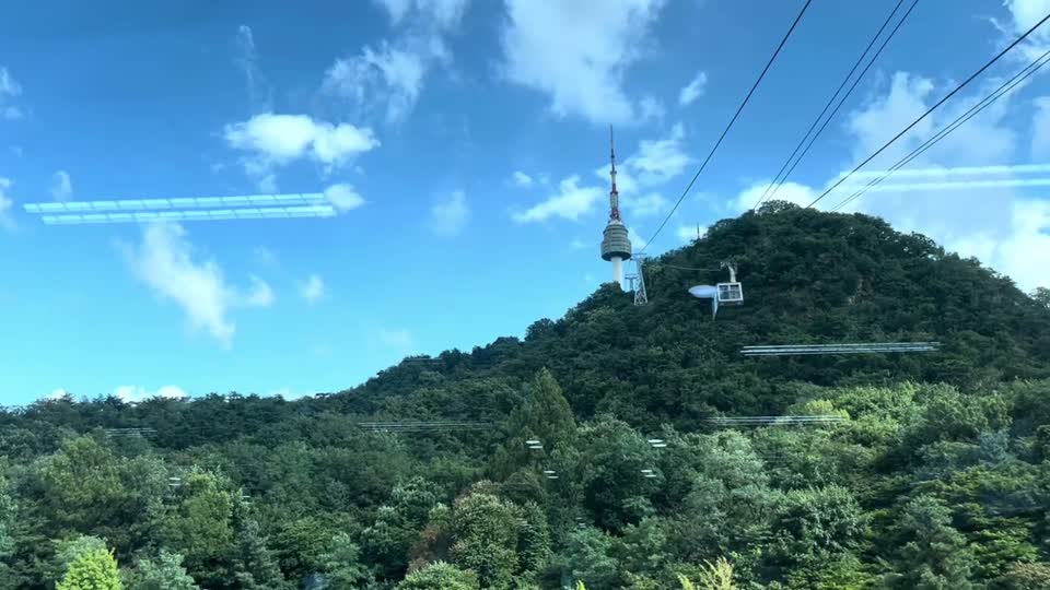 케이블카에서 바라본 숲과 타워