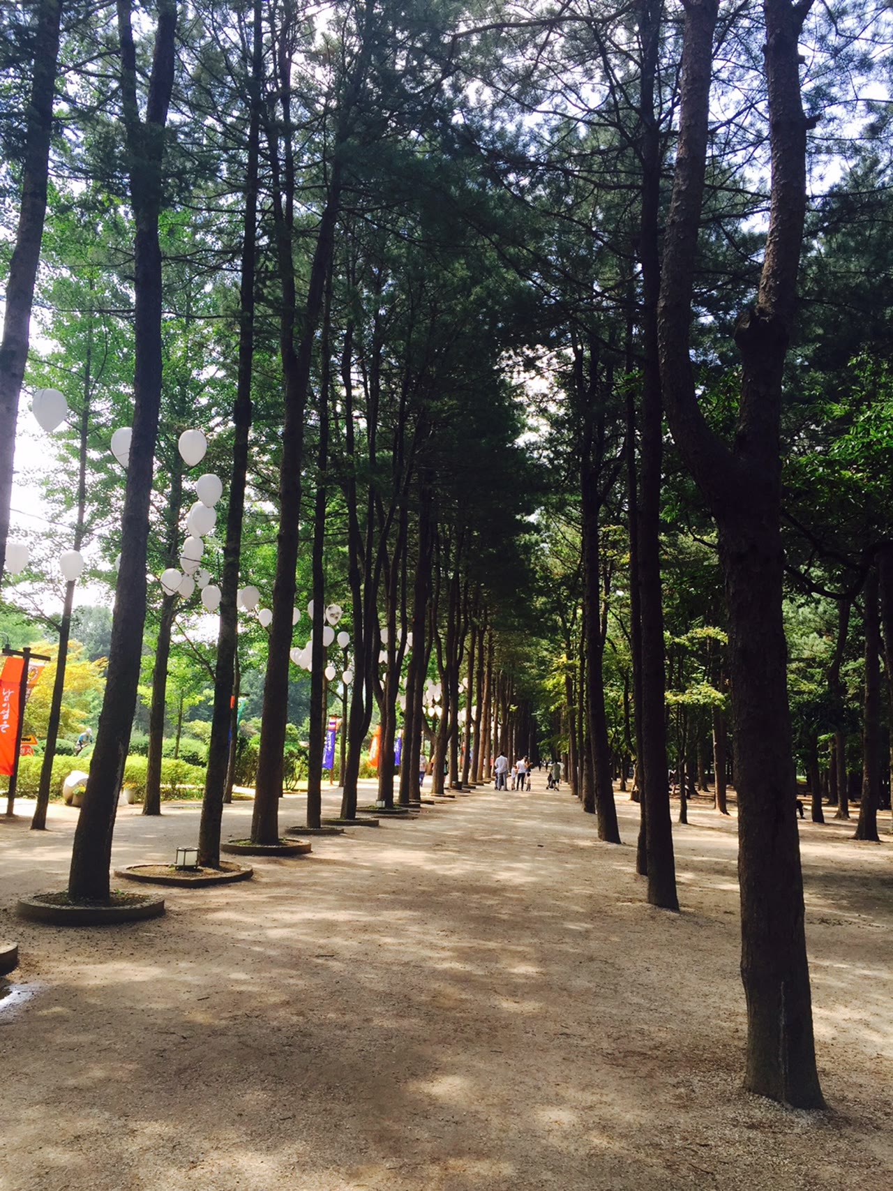 View of Nami Island.JPG · 영상과 별도 촬영된 대표 사진